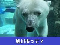 旭川市って?
