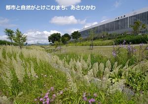 トップ画像