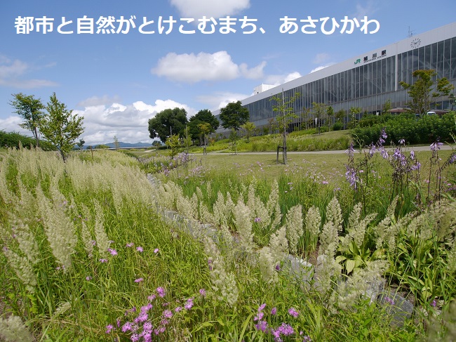 メイン