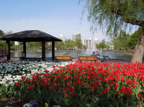 spring