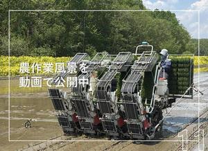 動画で知る旭川の農業