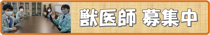 獣医募集