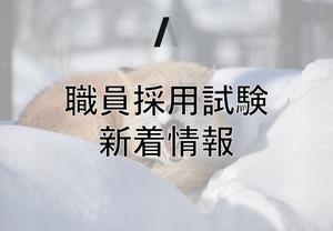 採用試験新着情報イメージ