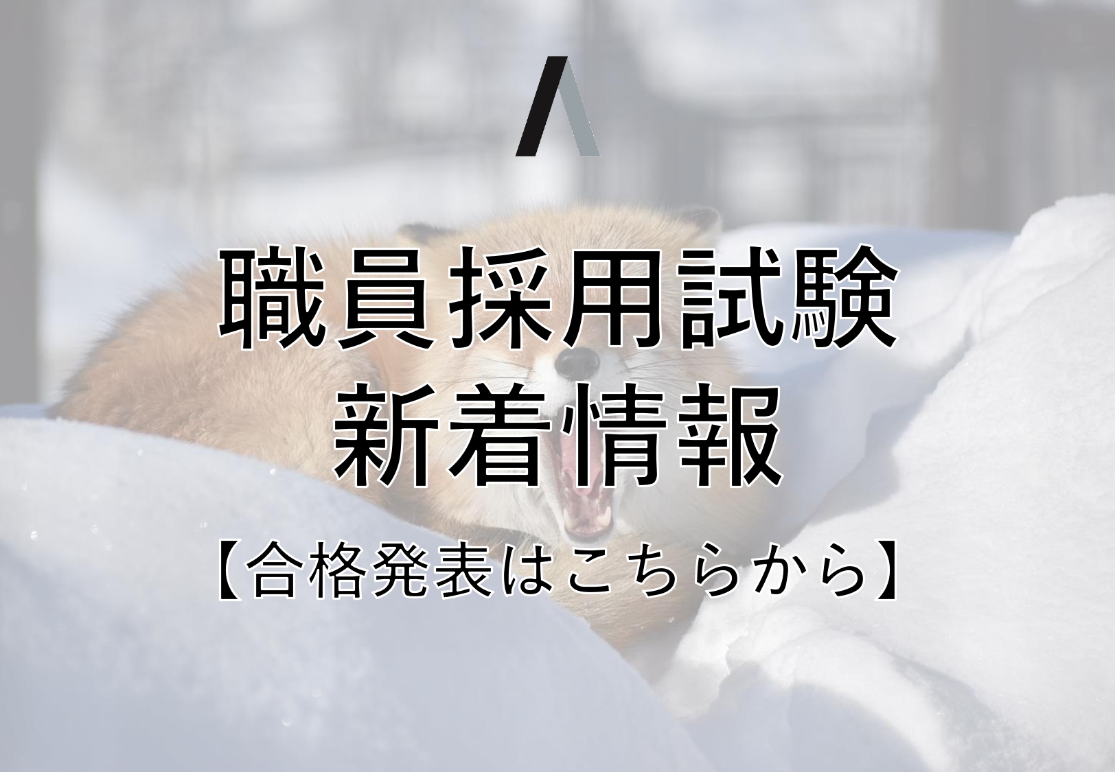 採用試験新着情報イメージ画像