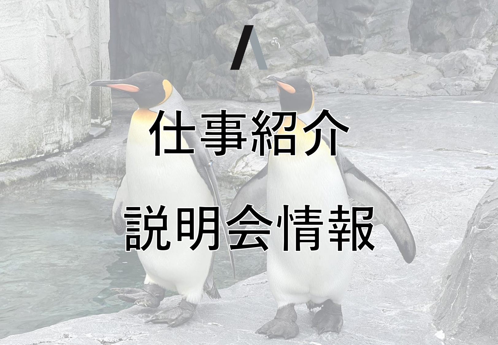 仕事紹介・説明会情報イメージ画像