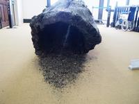 Seeking the First Light of Life_2