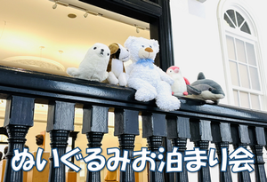 ぬいぐるみサムネ