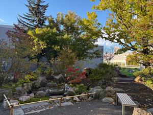 日本庭園3