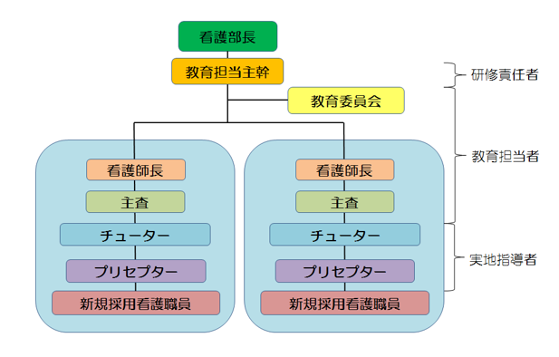 新人教育体制を表した図