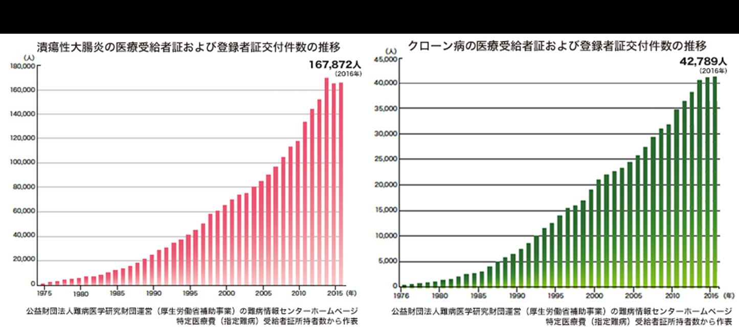 市立旭川病院ｉｂｄセンター 市立旭川病院