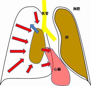 呼吸器疾患2