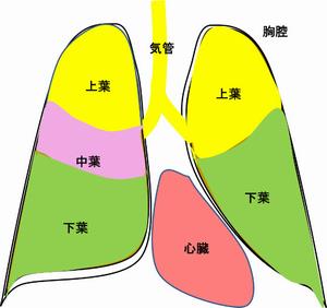 呼吸器疾患6