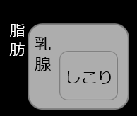 マンモグラフィ検査