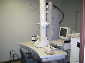 電子顕微鏡の写真