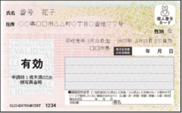 見本