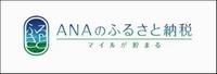 ANAのふるさと納税