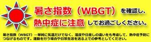 今日の暑さは