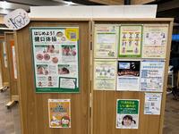 歯のパネル展示1