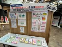 歯のパネル展示2
