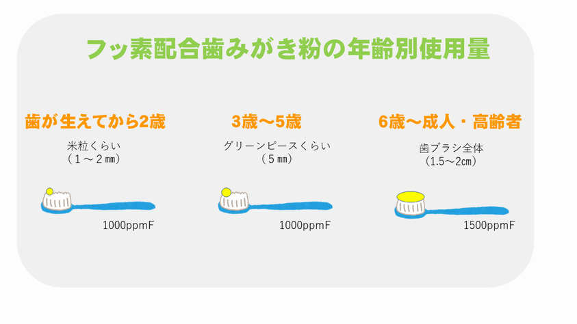 フッ素配合歯みがき粉の年齢別使用量