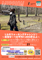 ミッションチラシ