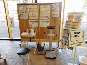 測定スポット