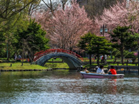 常磐公園