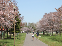 春光台公園