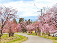 旭山公園