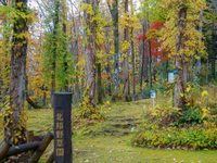 北邦野草園