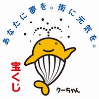 クーちゃん2