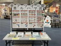 R6アモール3