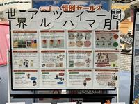 R6アモール5