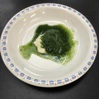 豆腐とほうれん草のペーストの写真