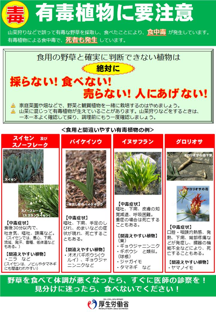 yuugaisyokubutugazou