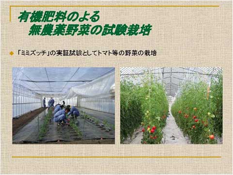 有機肥料による無農薬野菜の試験栽培