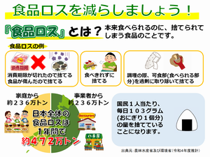 食ロスデータR2推計