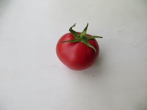3月7日トマト収穫