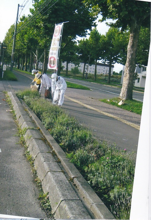 活動写真
