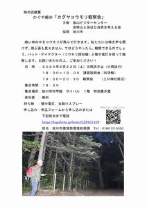 カグヤコウモリ観察会ポスター