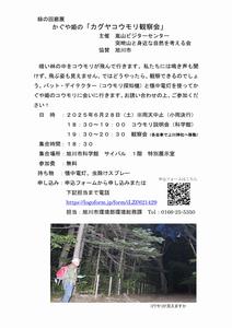 R7コウモリ観察会