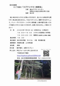R8コウモリ観察会