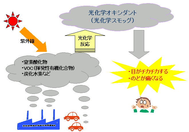 光化学オキシダントの発生及び人体への影響の図