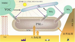 PM2.5の生成メカニズム（環境省より）