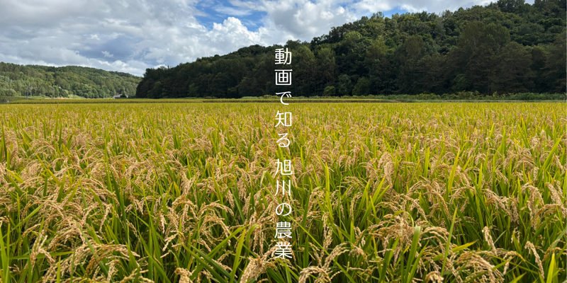 旭川の農業