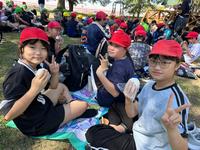 onigiri3