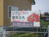 いちご狩り、野菜直売の看板