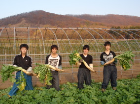 遠藤農園の様子