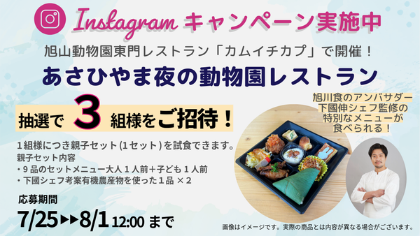 キャンペーン