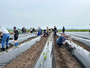 応援隊第4回目活動